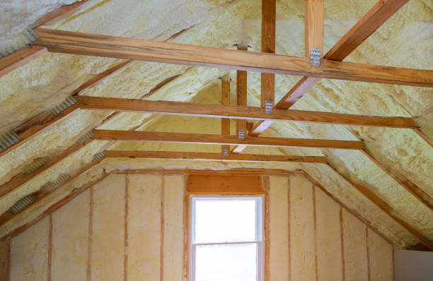 Best Types of Insulation in Hampden Sydney, VA