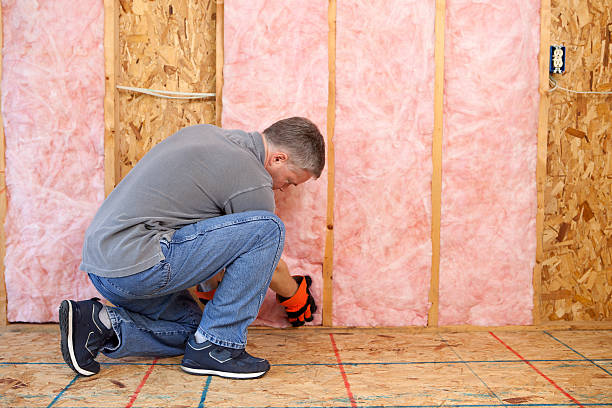 Hampden Sydney, VA Insulation Contractor Pros